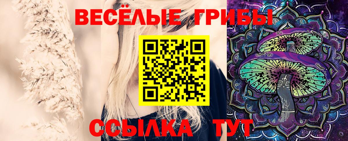 Барабинск  Псилоцибиновые грибы Cubensis  Вход с VPN 